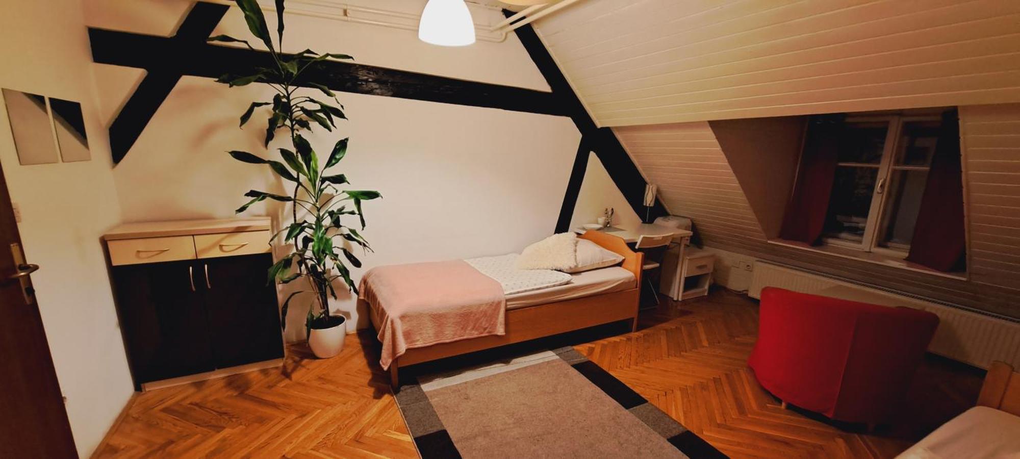 Viksi Hostel Liubliana Habitación foto
