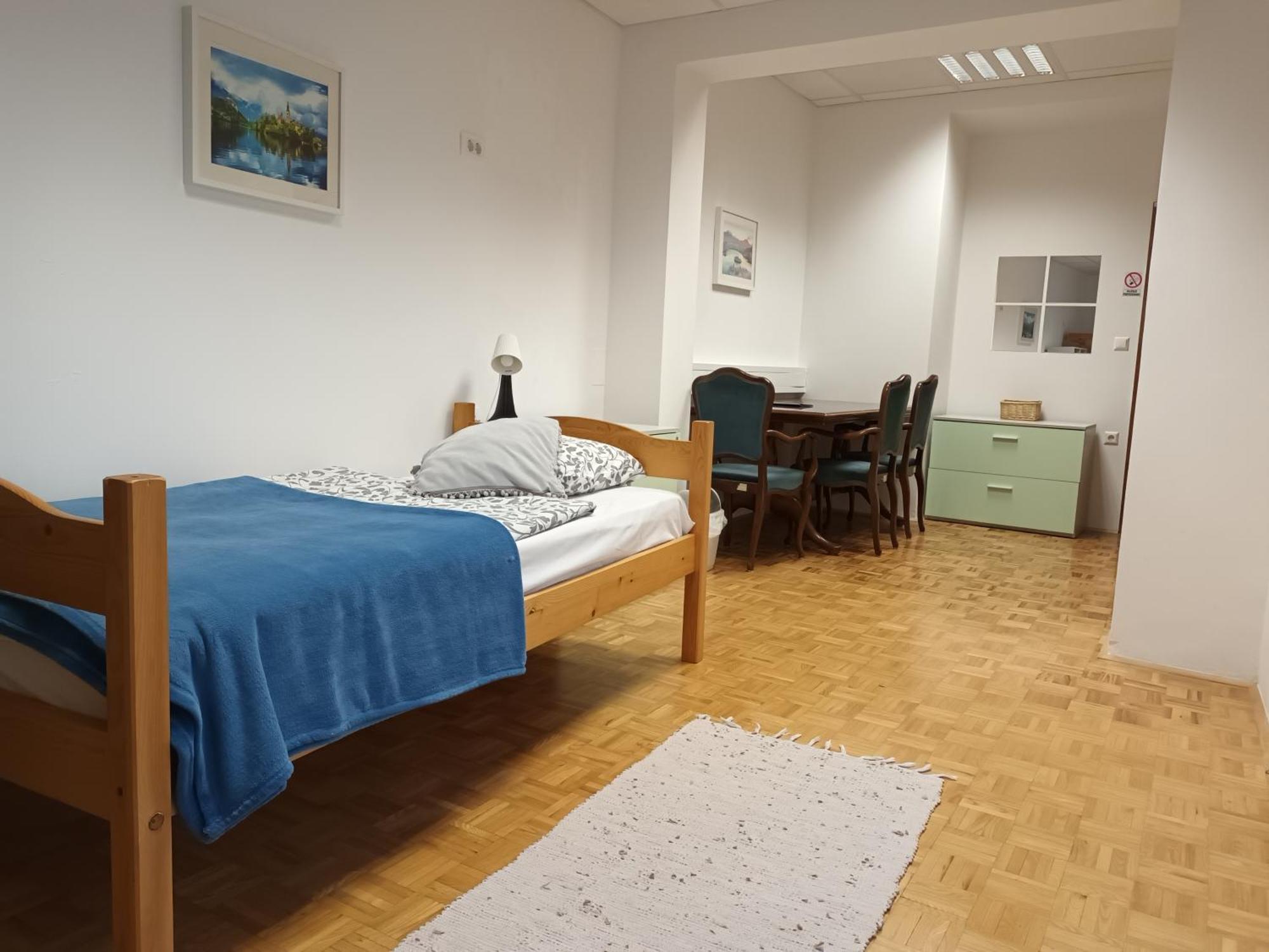 Viksi Hostel Liubliana Habitación foto